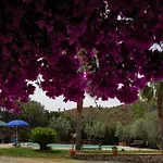 Apartment Tenuta Severino