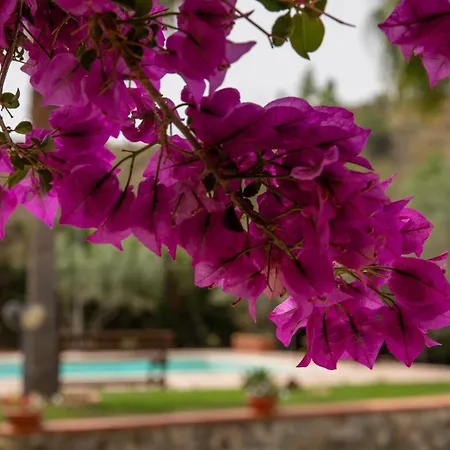 아파트 Tenuta Severino Santa Caterina Dello Ionio Marina