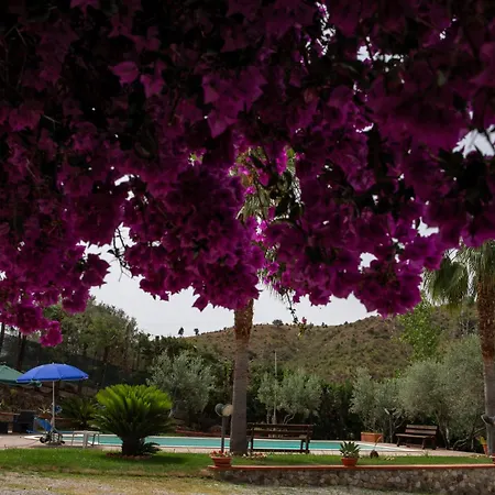 Apartment Tenuta Severino